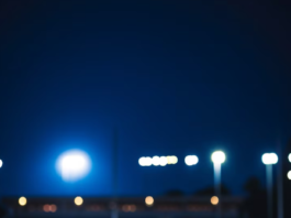 Sports Fandom: The Passion of the Fans