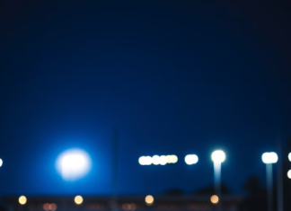 Sports Fandom: The Passion of the Fans