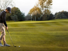 Sports and Community: Building Bonds Through Competition