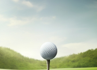 The Economics of Major Sports Leagues