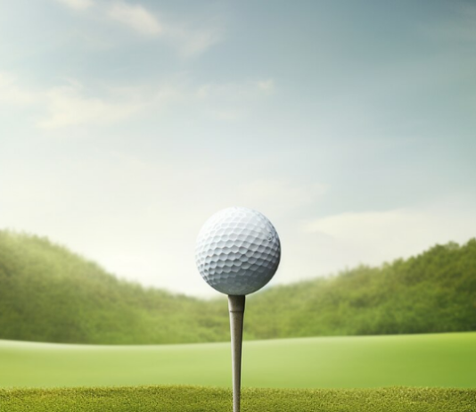 The Economics of Major Sports Leagues
